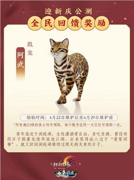 天龙八部私服架设终端